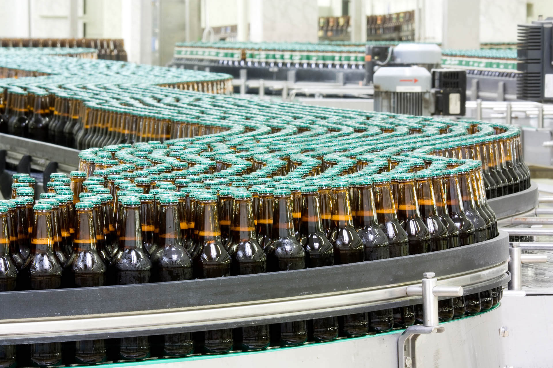 Bottles of beer on production line
