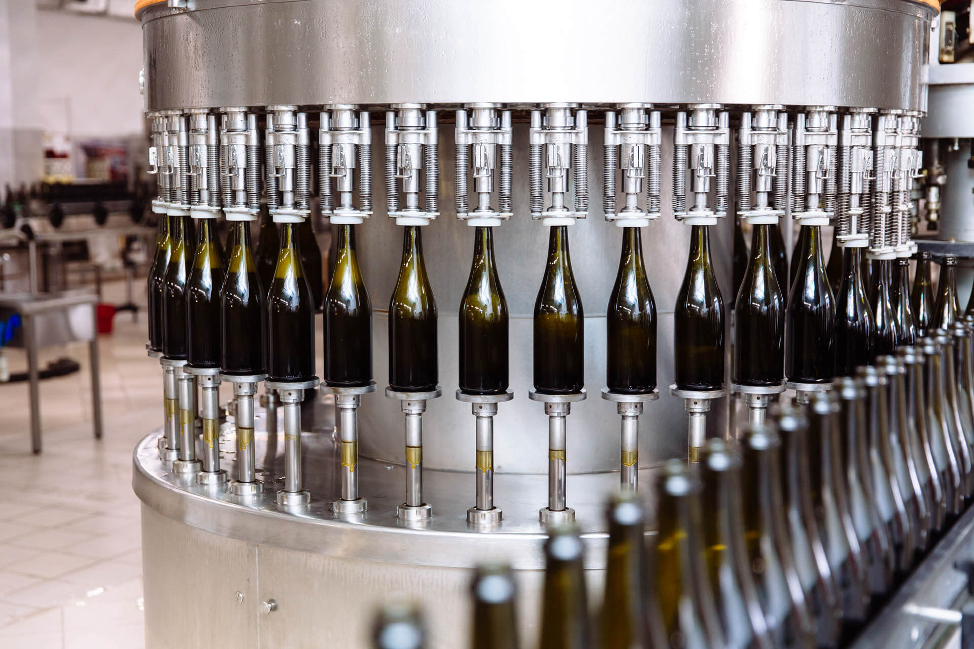 Bottles of wine on production line