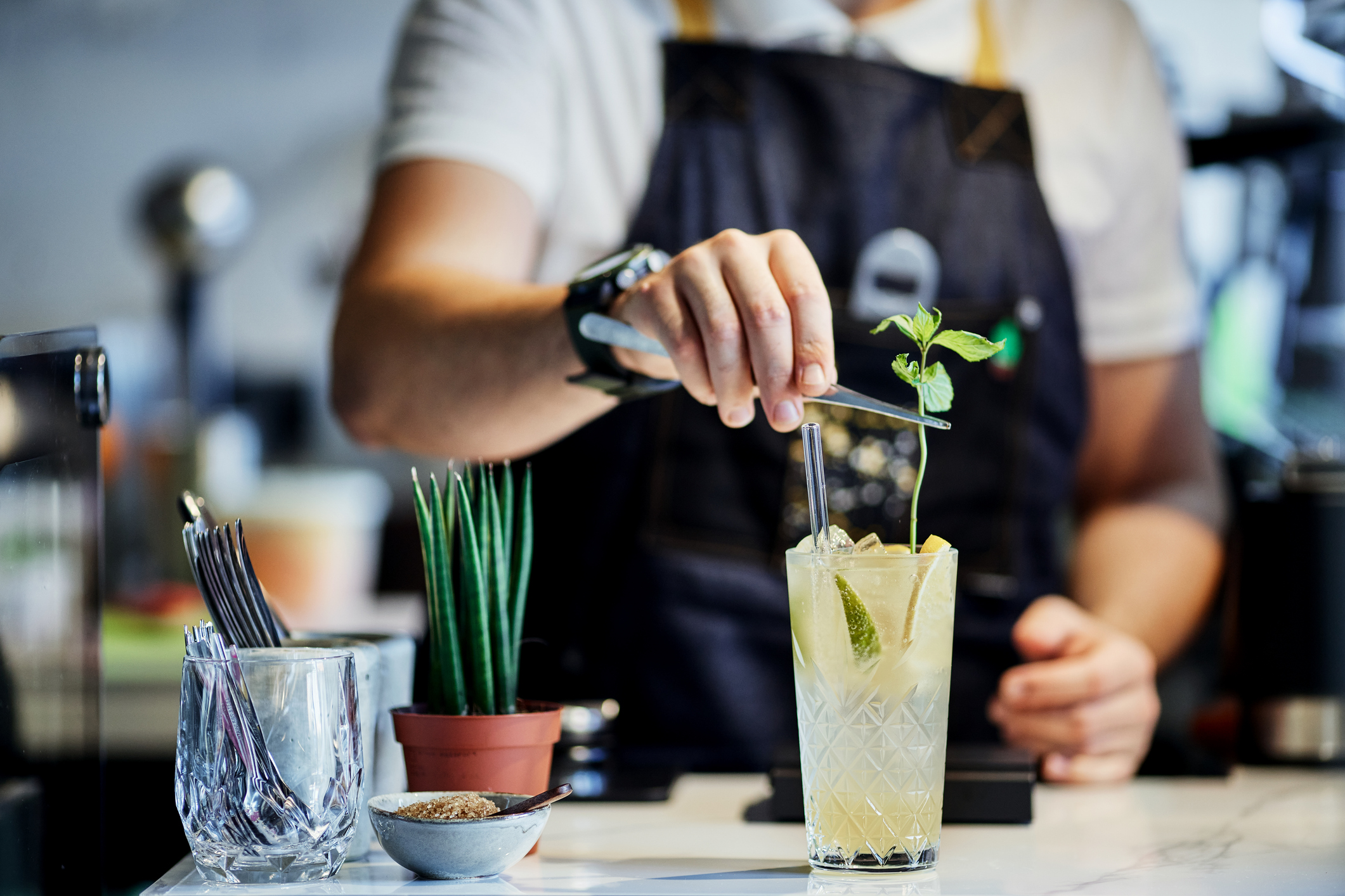 Bartender Mixing Cocktail with Mint